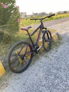 MTB