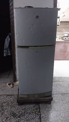 PEL Fridge for sell