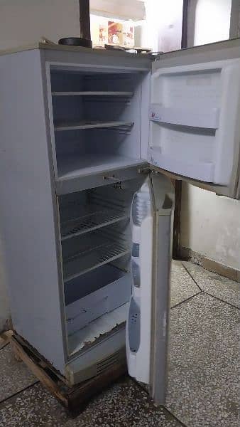 PEL Fridge for sell 1