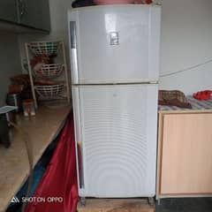 Dowlance fridge