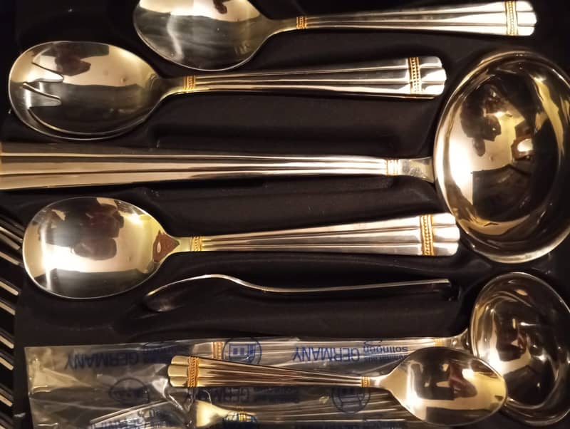 Urgent sale SOLINGEN GERMANY 72 PCS STAINLESS 18/10 CUTLERY SET 4