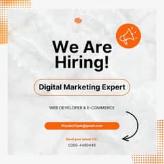 Job Offer - Digital Marketing Management + Web Developer