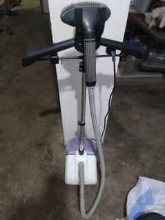 Electric Iron Steamer Wastpoint