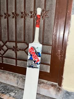 rawalakot bat in saki edition