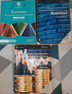 A levels Economics and Business books, past papers and notes.