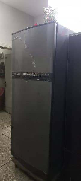 full size fridge cell 10