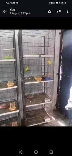 2 cages and some birds