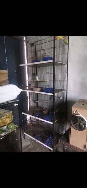 2 cages and some birds 1