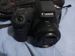 Canon 6d with STM 50mm lens