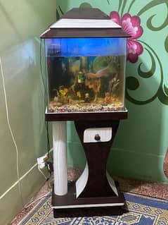 18×18 size Fish aquarium