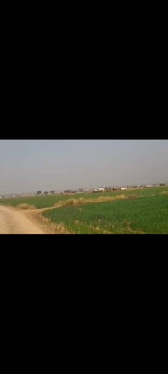 New airport ky pas 1kanal 2 kanal 3 kanal 4 kanal land for sale best investment for Farm house and ploting