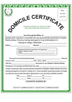 Online  Domicile Apply Or Collage Admission All Pakistan