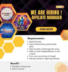 Affiliate manager