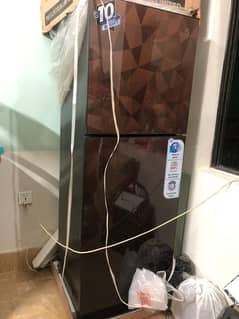 New PEL Glass door refrigerator