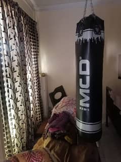 5ft filled Punching Bag + Boxing Gloves + Chain