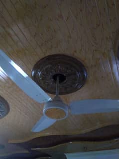 royal fan in v new condition 0