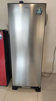 Upright Freezer(used but like new)