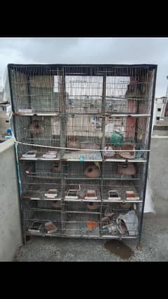 Cage 4 sale