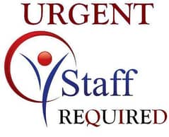 Need staff for office work