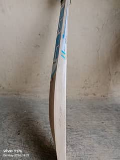 SS hard ball bat