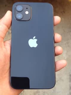 iPhone 12 non PTA 64gb JV