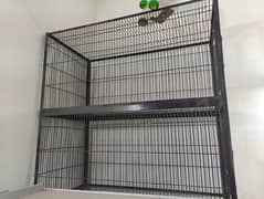 birds cage new