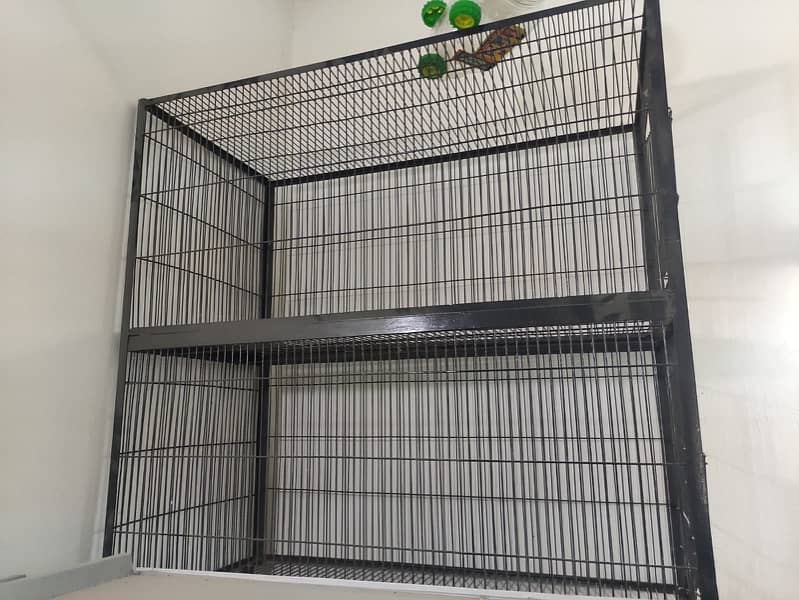 birds cage new 0