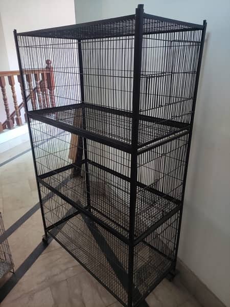 birds cage new 2