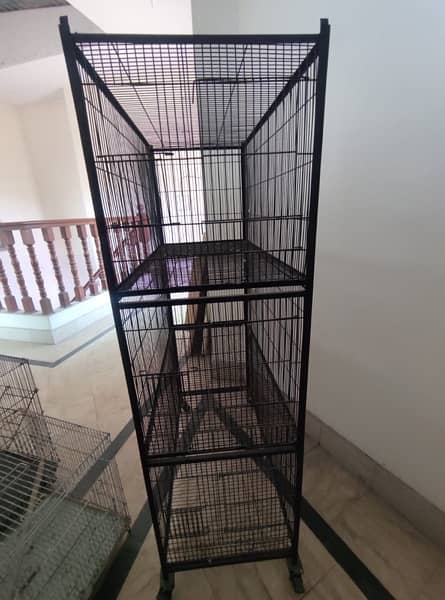 birds cage new 3