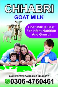 Goat Milk for sale\ بکری کا دودھ