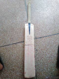 hard ball bat kashmir willow 03014023637