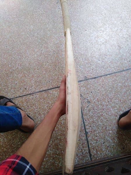 hard ball bat kashmir willow 03014023637 1