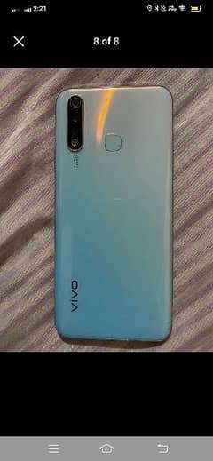 Vivo