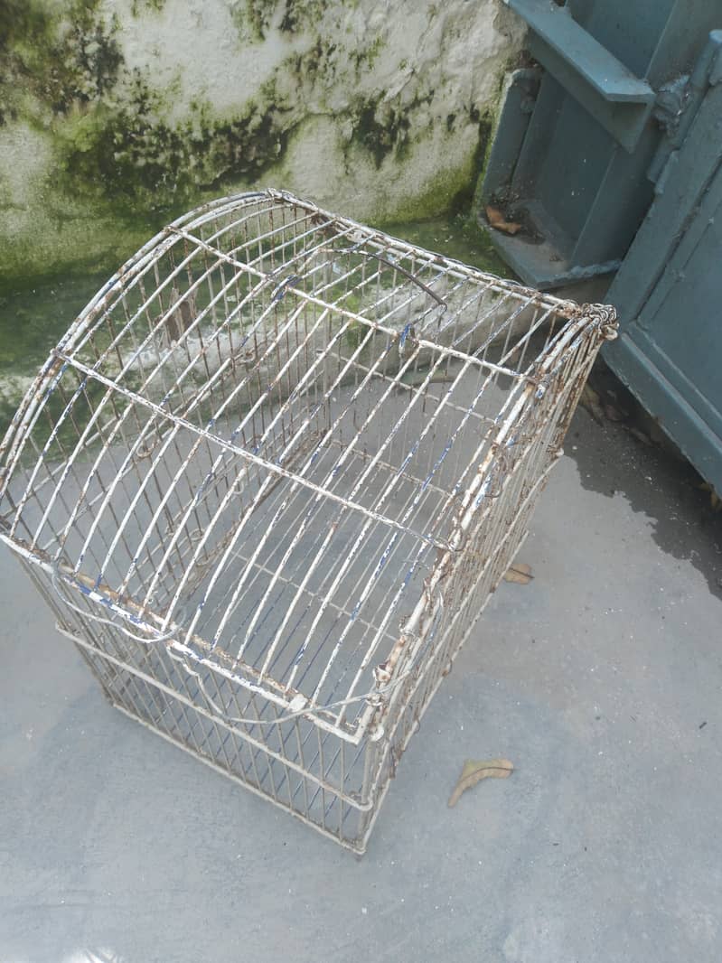 2 iron old and strong cages 3