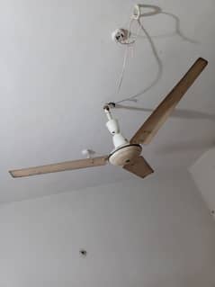 One used floor fan in runing condition all ok