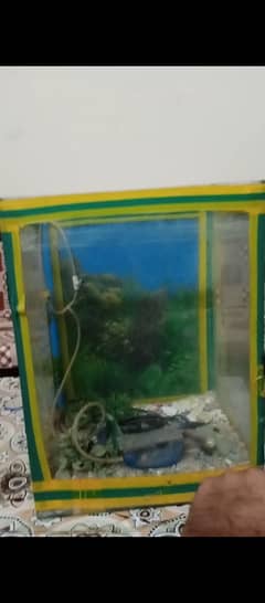 aquarium with stand 0310-5617360