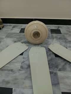 ceiling fan