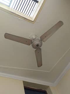 fan for sale 0