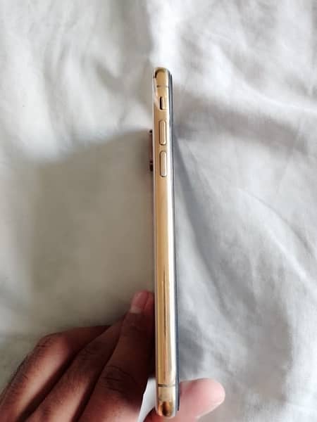 iphone xs golden colour 2