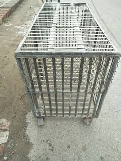 cage in Multan