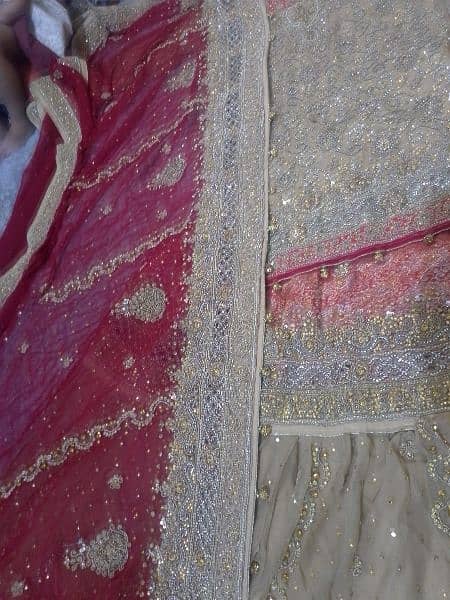 Wedding lehnga with jewelry 2