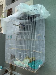 2 cages for sale