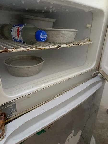 Hair Fridge for sell 4