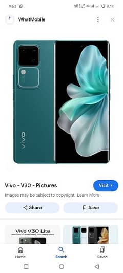 vivo