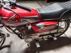 honnda 124 red cooler 2023 model