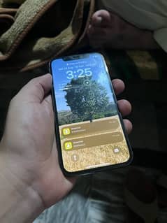 iphone 12 pro condition 10/10 256gb non pta