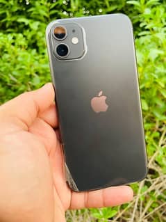 iphone11