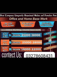 male and female staff required for online work