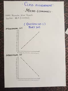 assignment writing in loose sheets,paper and in Ms word