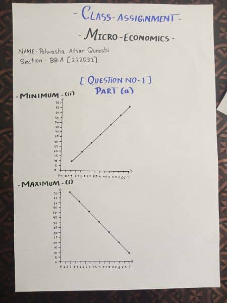 assignment writing in loose sheets,paper and in Ms word 0